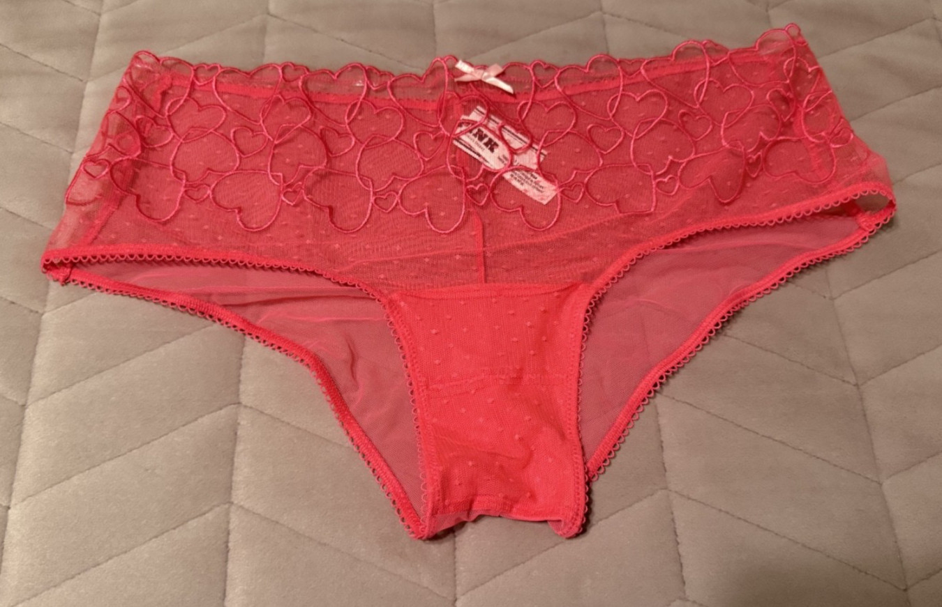 Victoria’s Secret PINK Logo Pink Mesh Embroidered Hearts Cheeky Panty LARGE NWT!