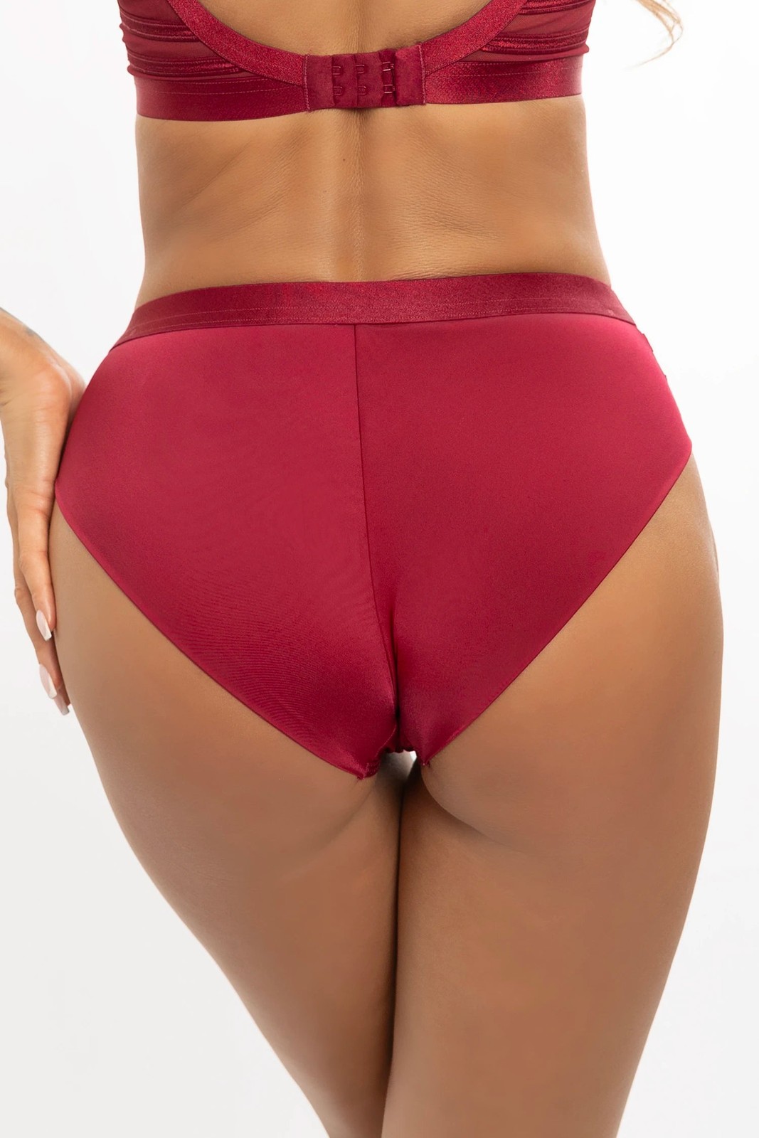 Axami Burgundy Soft Brief Panty NWT Women’s Plus Size Semi-Sheer Lingerie V12023