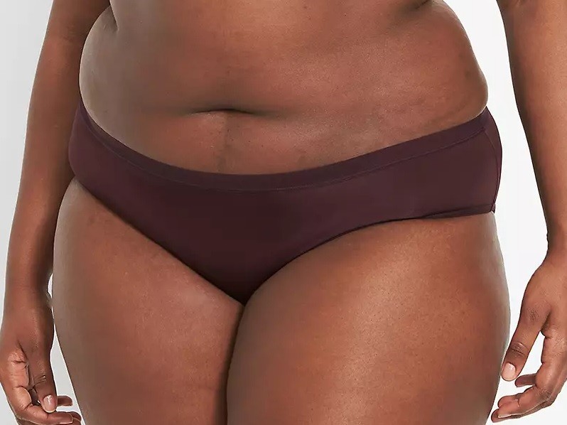 NWT – Lane Bryant Chocolate Brown Microfiber Hipster Sz 26/28 Ret:$11.50