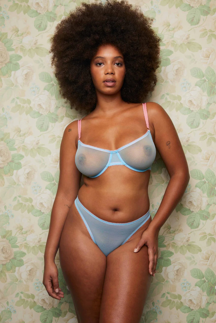 BNWT £30 Dora Larsen Layla Clean Thong Blue Tulle Mesh Pink UK 14 US 10 Underwea