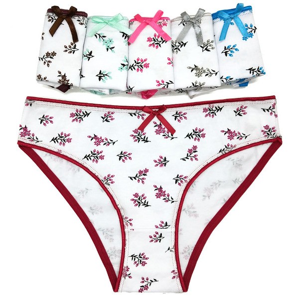 6 x Womens Sheer Spandex / Cotton Briefs – Assorted Colours Underwear Undies