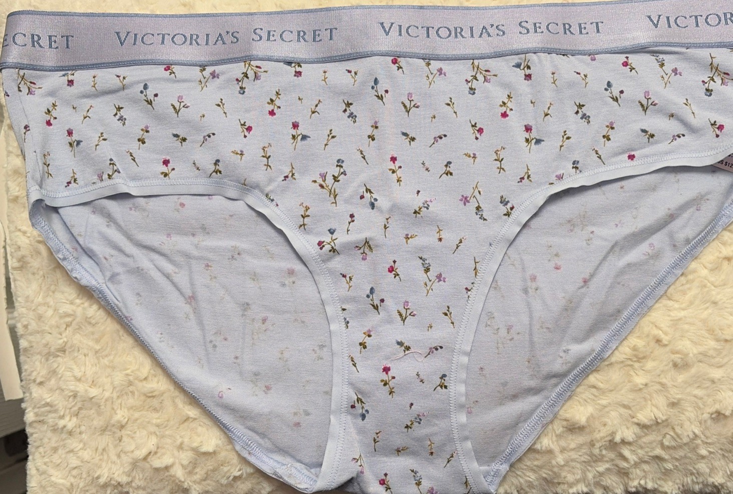 Victoria’s Secret Blue Floral Cotton/Modal Logo Hiphugger Panty, XL