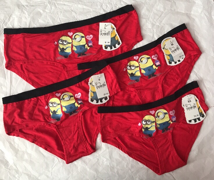 NWT Women’s Despicable Me Minion Made Hipster Panty Red Hearts L/M/ S Valentines