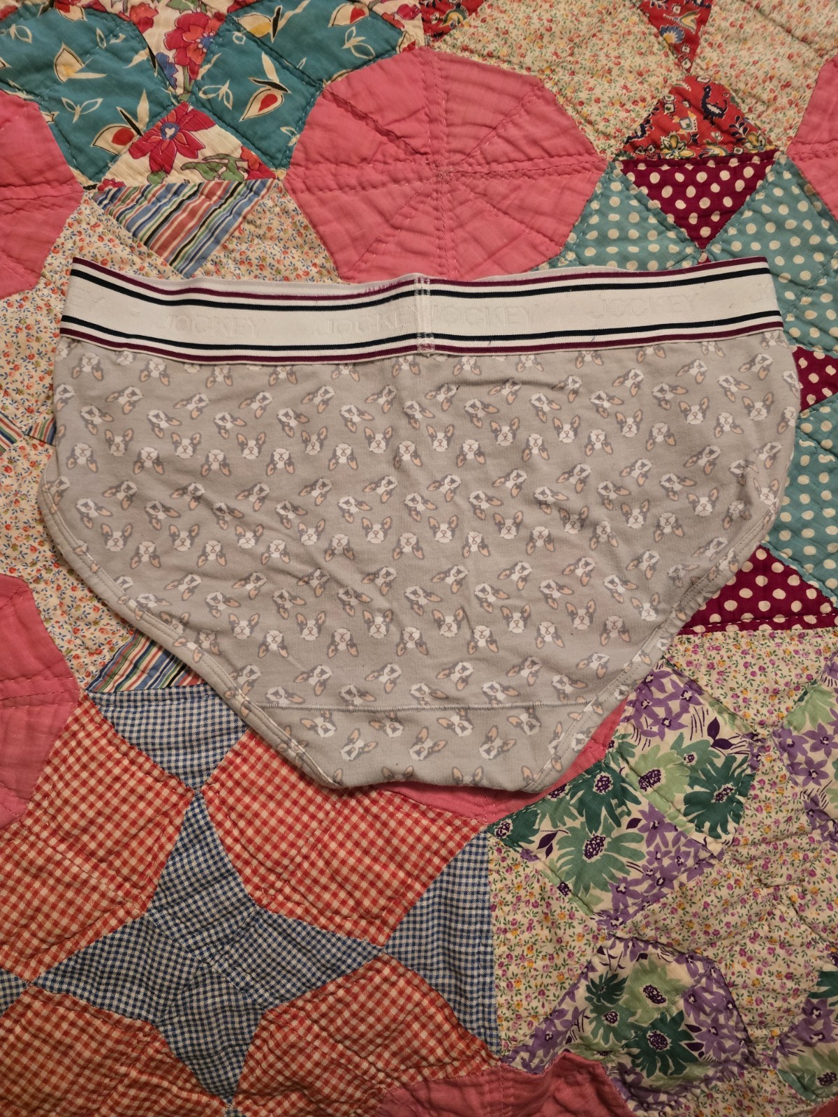 UNIQUE, RARE WOMEN’S JOCKEY SIZE 7/LARGE HIPSTER PANTIES WITH BOSTON TERRIER DOG