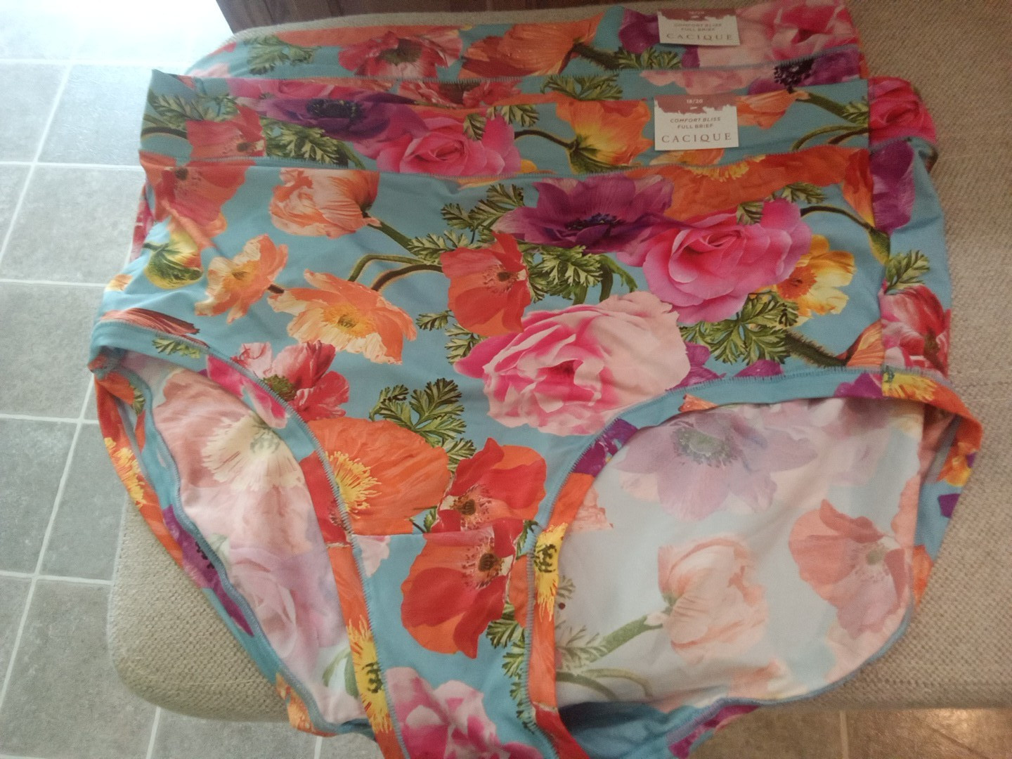 LOT of 2 Cacique Full Brief Comfort Bliss Panties Size 18/20W NWT
