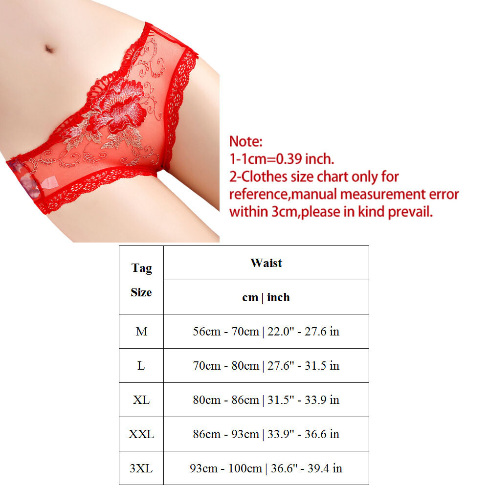 Women Sheer Panties Brief Ultra-thin Lace Underwear See-through Lingerie 6 PCS